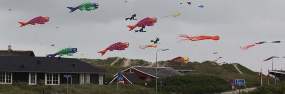 Kitespots Daenemark Kitesurfen 111