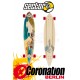 Sector 9 Madeira Longboard complete Assorted