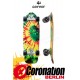 Carver Tye Stick CX4 Surf Skateboard Komplettboard 25.5''