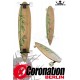 Krown Longboard complète Exotic Pintail Bamboo Cruiser